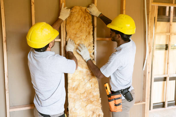 Best Insulation Replacement Services  in Timberwood Park, TX